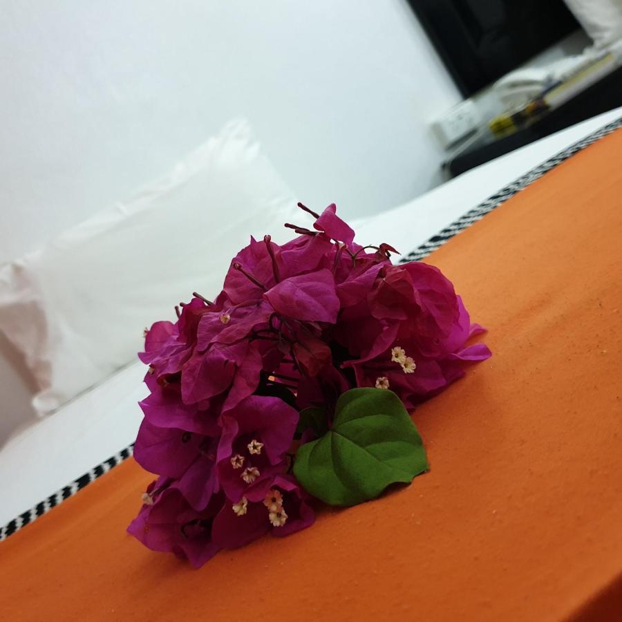 Suva Motor Inn Bagian luar foto