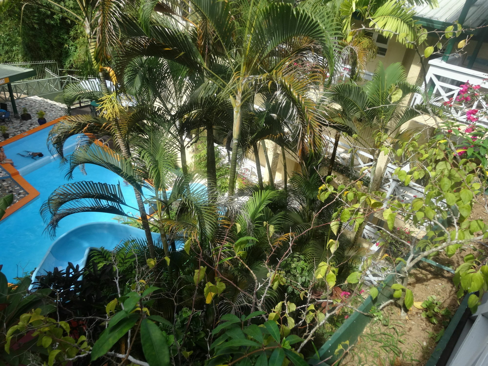 Suva Motor Inn Bagian luar foto